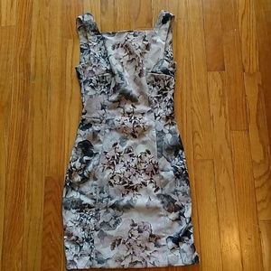 Blush & Gray Floral Print Dress